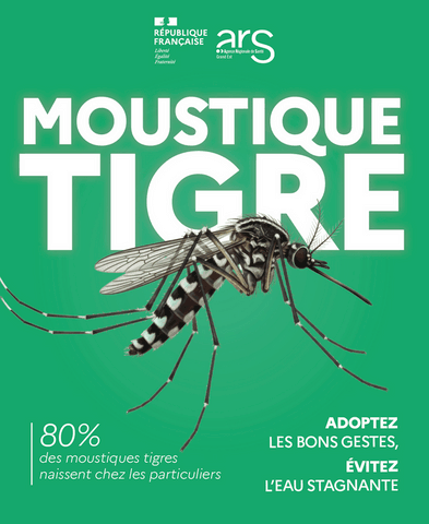 Moustique tigre visuel
