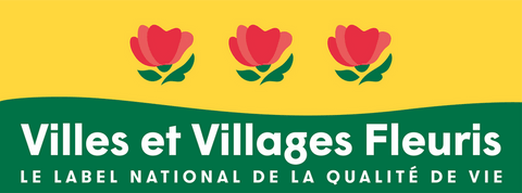 3 fleurs 2025-08